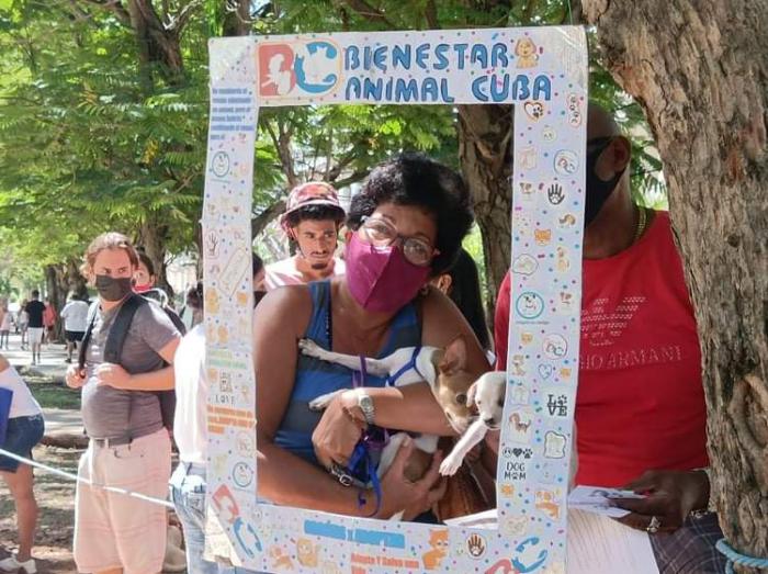 Una persona con un perro