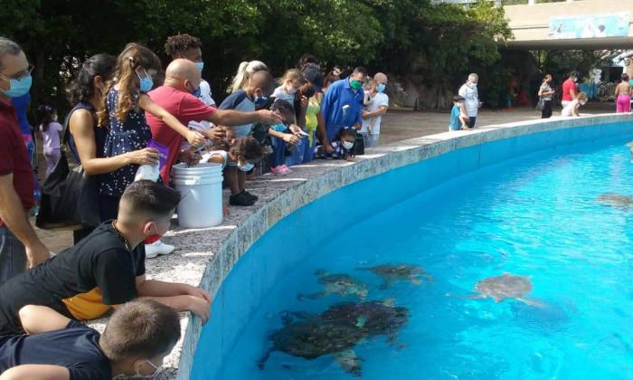 Niños, adolescentes, jóvenes y adultos miran un estanque con tortugas