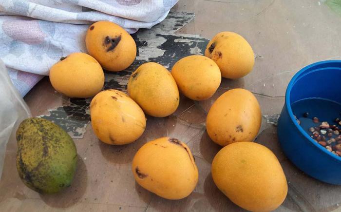 Frutas