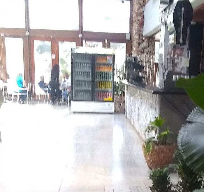 El pedregal