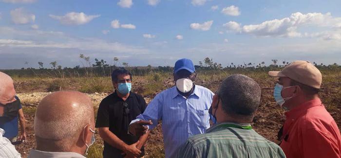 Recorrió Salvador Valdés Mesa finca de plantas proteicas