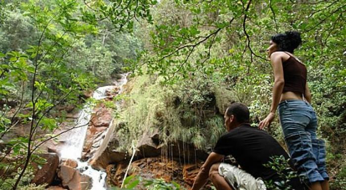 Clasifica Cuba para los expertos como país ecológico