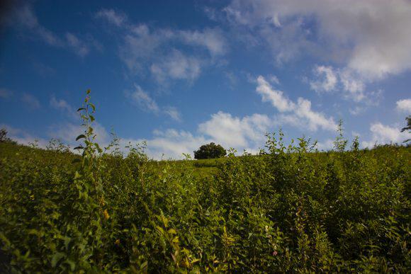 Una sola Tierra, y es nuestro hogar