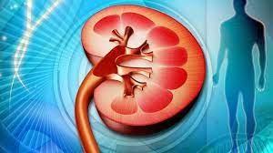 Reinician en Cuba actividad de trasplante renal