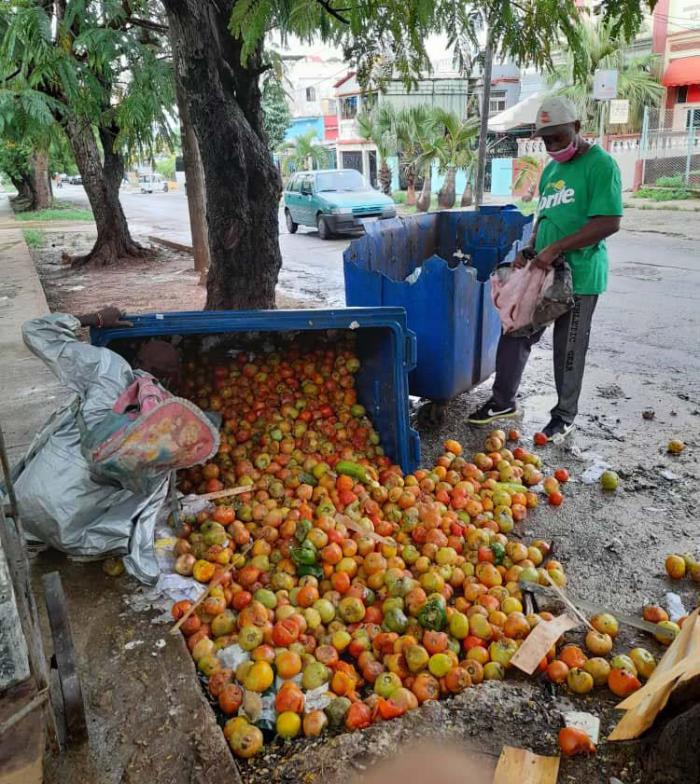 Basura en la calle