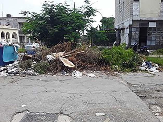 Basura en la calle