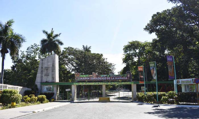 Zoológico De La Habana