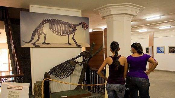 Dos mujeres en el museo de historia natural