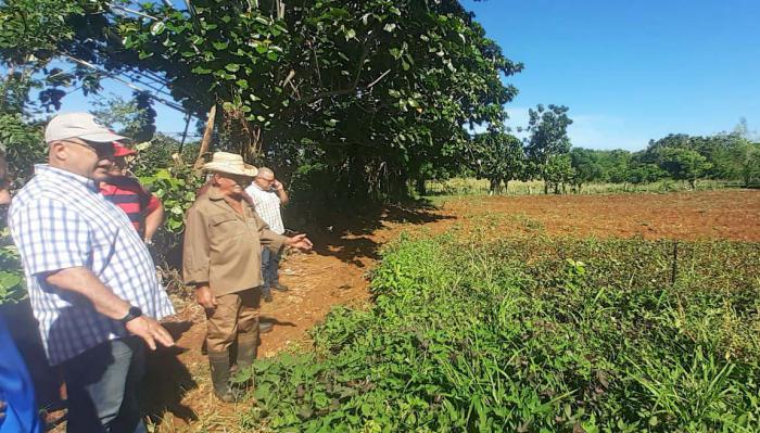 Alternativas para la autonomía alimentaria