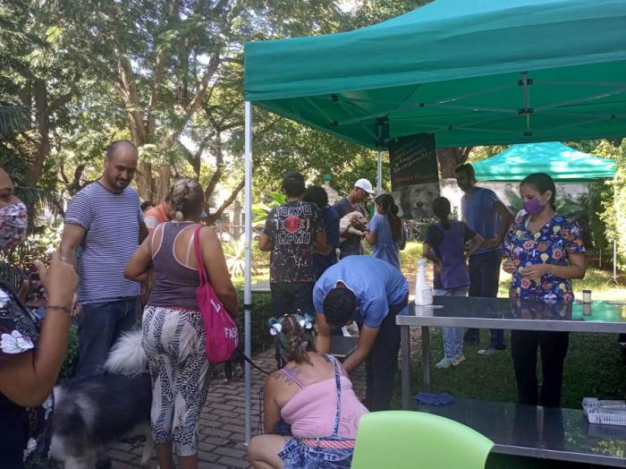Desparasitación de perros y gatos en Quinta de los Molinos