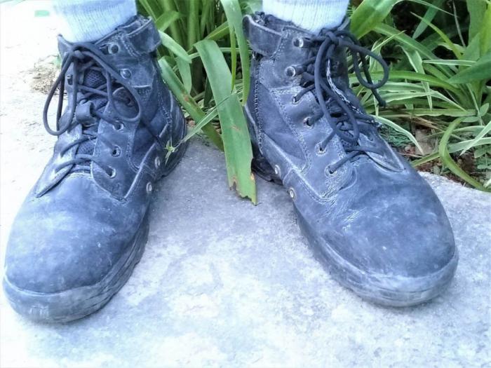 Botas