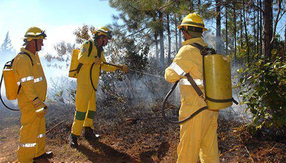 Cuerpo de Guardabosques sofocan incendio