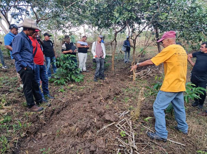 Participantes en el V Encuentro Nacional de Polígonos de Suelo, Agua y Bosque recorren la primera de estas áreas demostrativas, en Guanabacoa.
