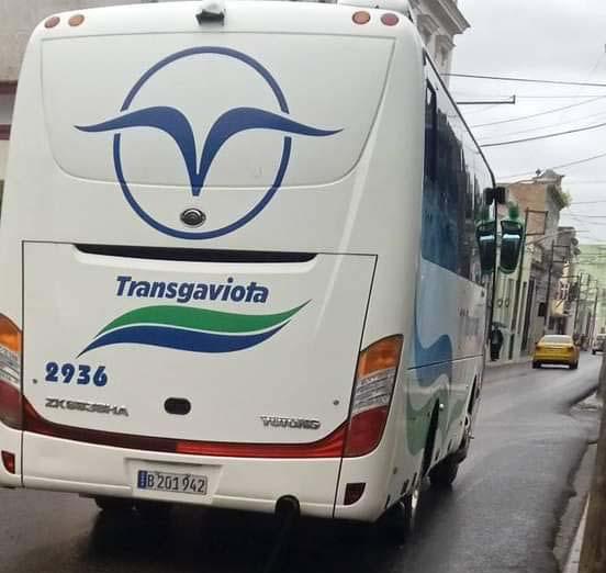 Ómnibus de TRANSGAVIOTA 