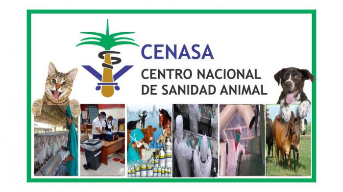 Confirma Cuba entrada, muy limitada, de Influenza Aviar
