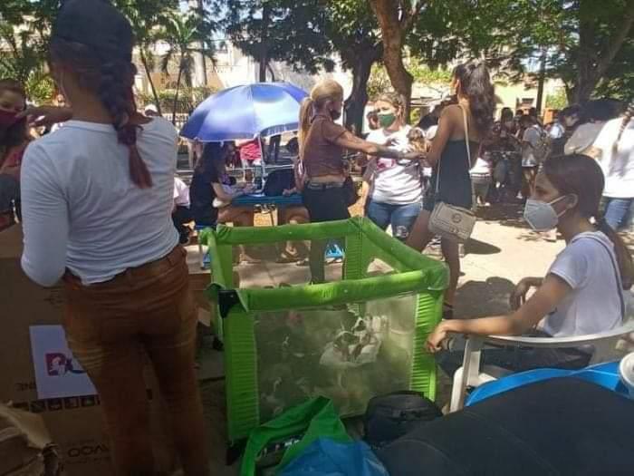 Gran Feria Vive+ en el Parque John Lennon