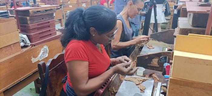 Mujeres torcedoras