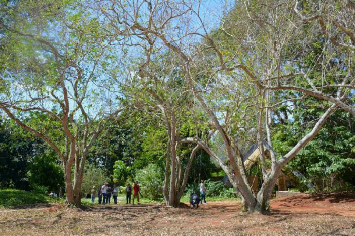 Jardín Botánico Nacional de Cuba