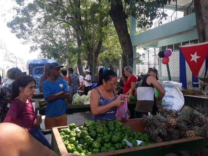 Ferias agropecuarias en La Habana