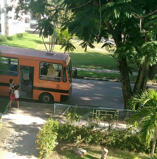 Ómnibus recoge a niño de Enseñanza Especial