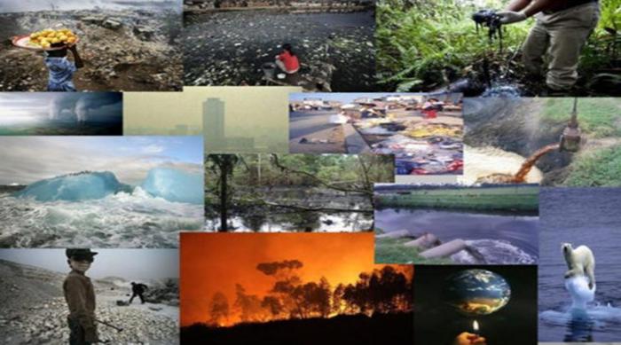 Collage de imágenes sobre efectos del cambio climático
