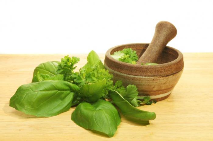 Un mortero y albahaca