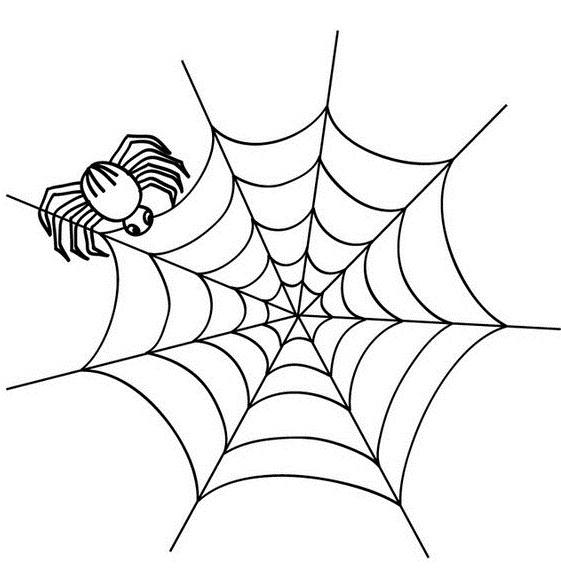 Tela de araña