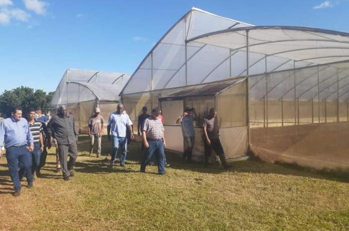 Recorrido en la finca Las Guásimas 
