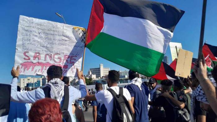Marcha en La Habana en solidaridad con Palestina