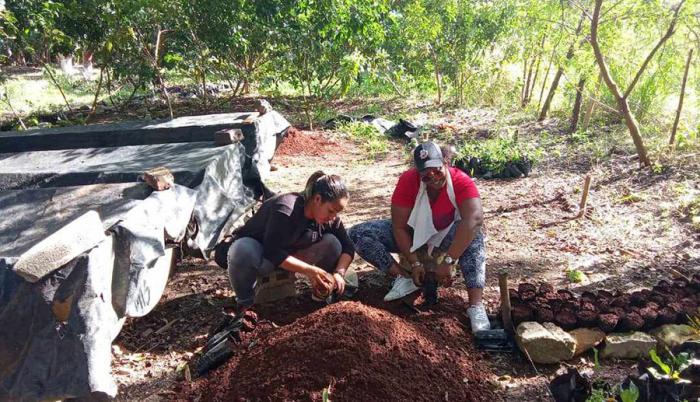 Inician los jóvenes los Campamentos agrícolas