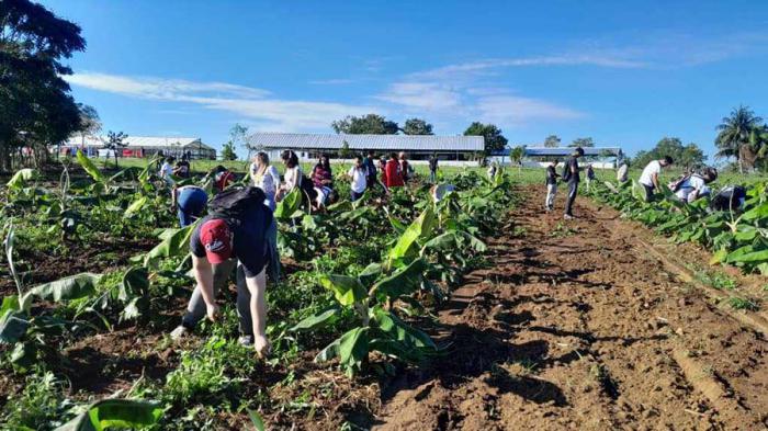 Gran jornada de trabajos voluntarios