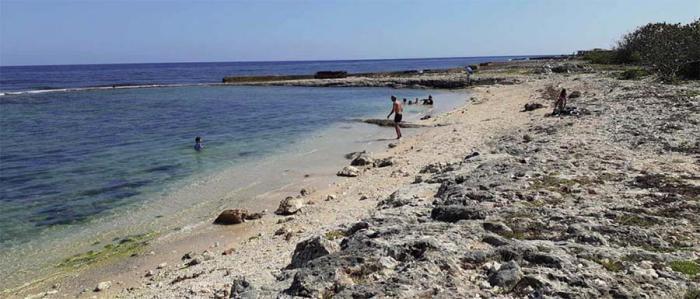 Desde la década de 1990 Cuba realiza esfuerzos para enfrentar los riesgos en su agenda ambiental y de desarrollo.