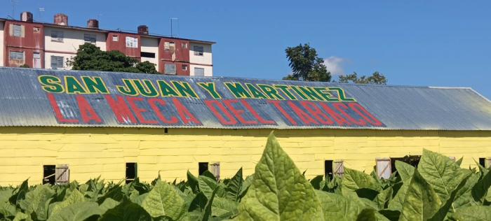 La vega y casa de cura de Maikel Osorio
