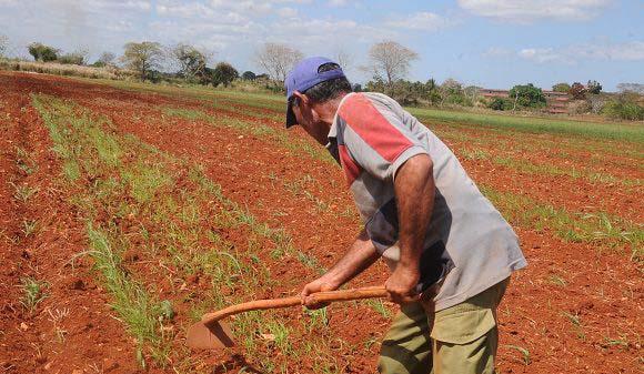 Agricultura