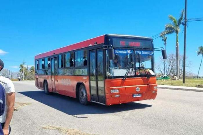 Transporte