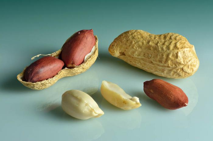 Cacahuate o maní