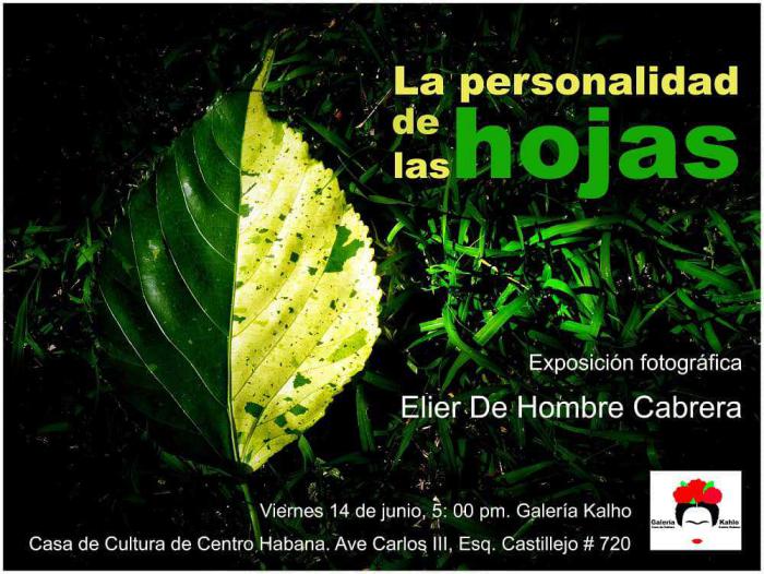 exposición fotográfica