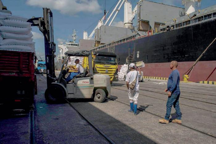 Labores en el puerto