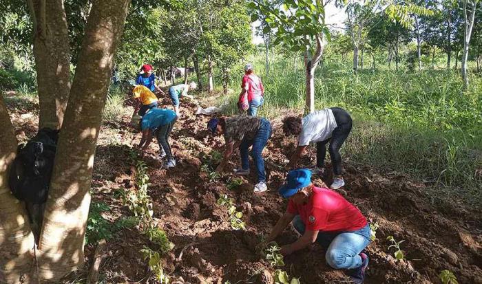 Con un trabajo voluntario en tareas de producción de alimentos celebraron las federadas capitalinas.