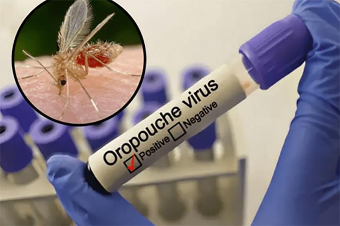 Oropouche