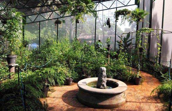 El Jardín Botánico de La Habana en la Quinta de los Molinos