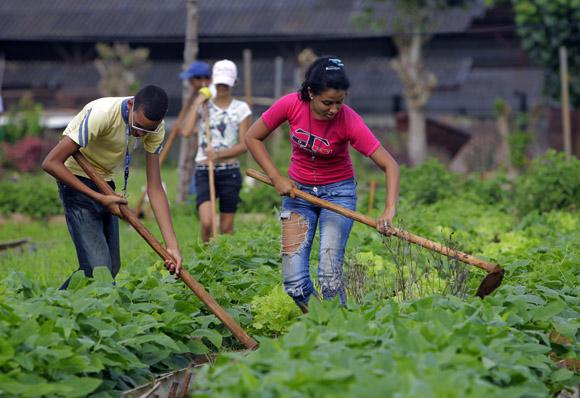 Juventud cubana trabajando