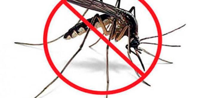 Mosquito y señal de eliminar