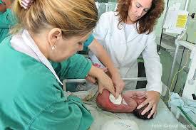 Trabajadora de Salud