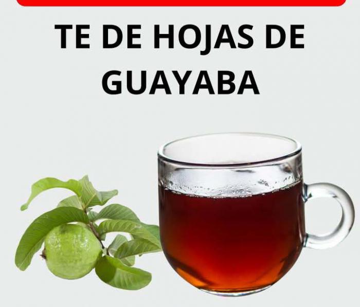 Te de hojas de guayaba