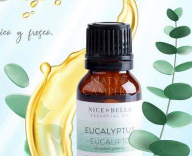 Aceite de eucalipto