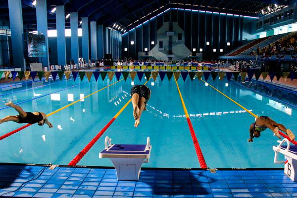 Competencia de natación
