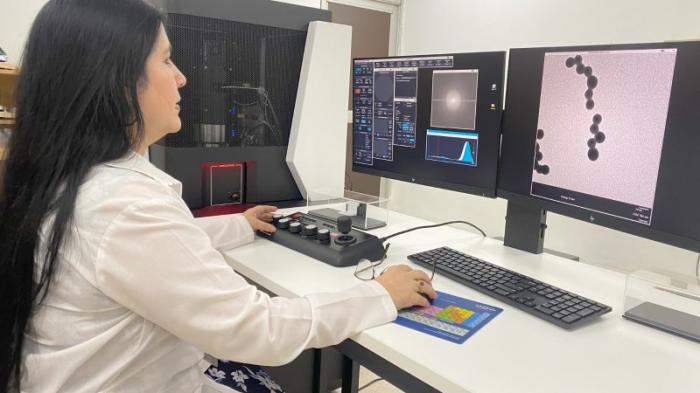 La Dra Viviana Falcón trabaja con un microscopio electrónico de bajo voltaje.