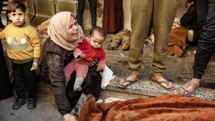 Genocidio contra Gaza 