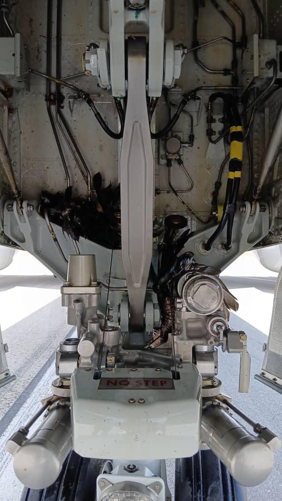 El vuelo No. 837 de la aerolínea American Airlines, matrícula M9227NN, sufrió un impacto en su tren de aterrizaje delantero por un ave 